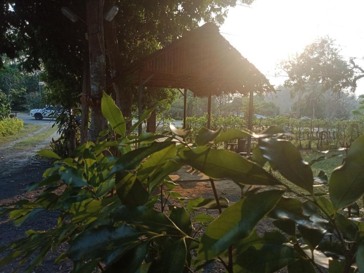Nonkan นอนกาญจน์ Kanchanaburi
